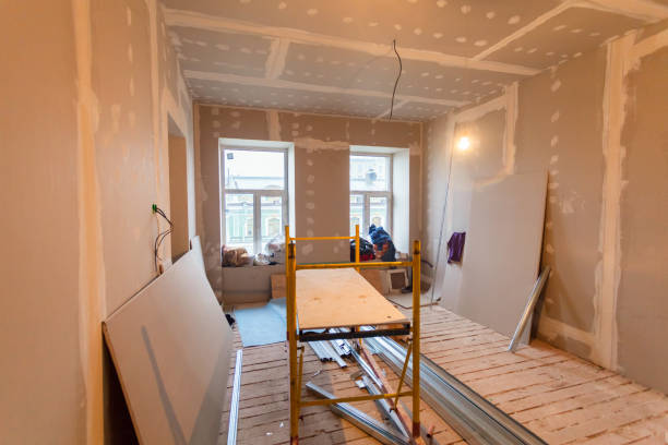 Trusted Etna, PA Mold Removal Experts